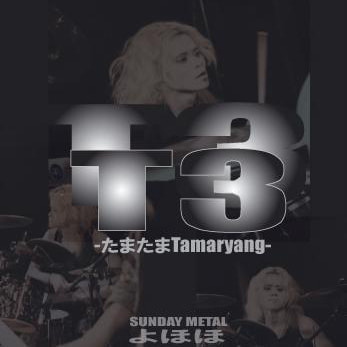 よほほT3